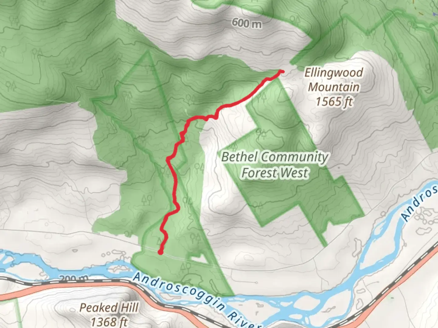 An image depicting the trail Bingham Forest from North Road and its surrounding area.