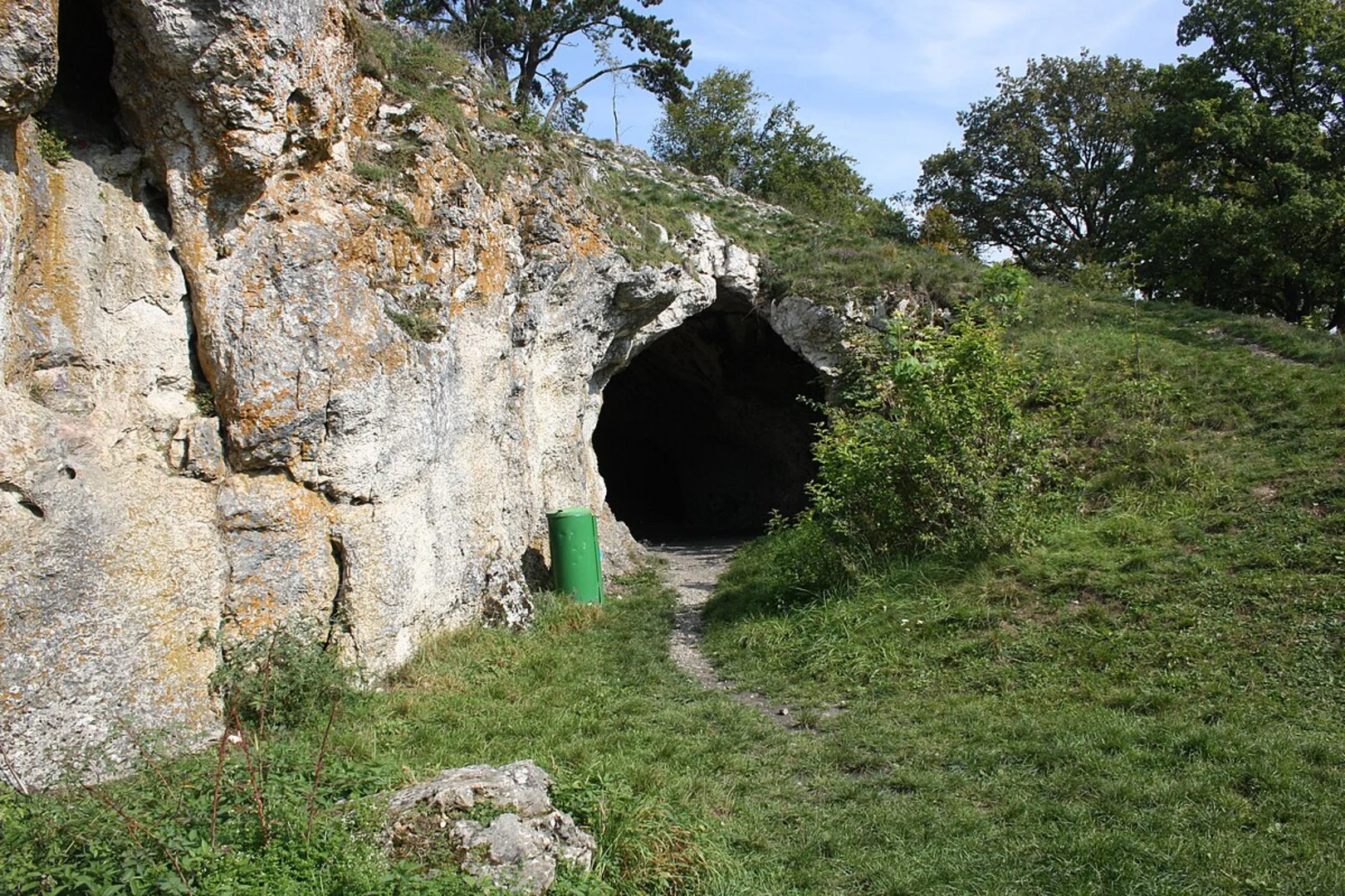 An image depicting the trail Wolfsegg Pielenhofen and its surrounding area.