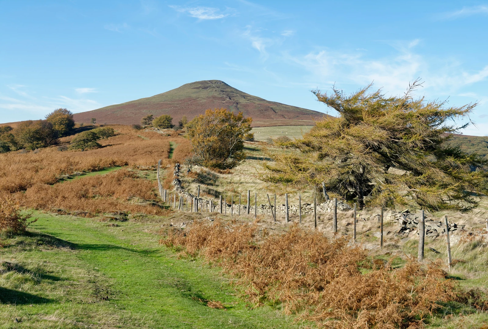 An image depicting the trail Mynydd Llanwenarth and Sugar Loaf Loop and its surrounding area.
