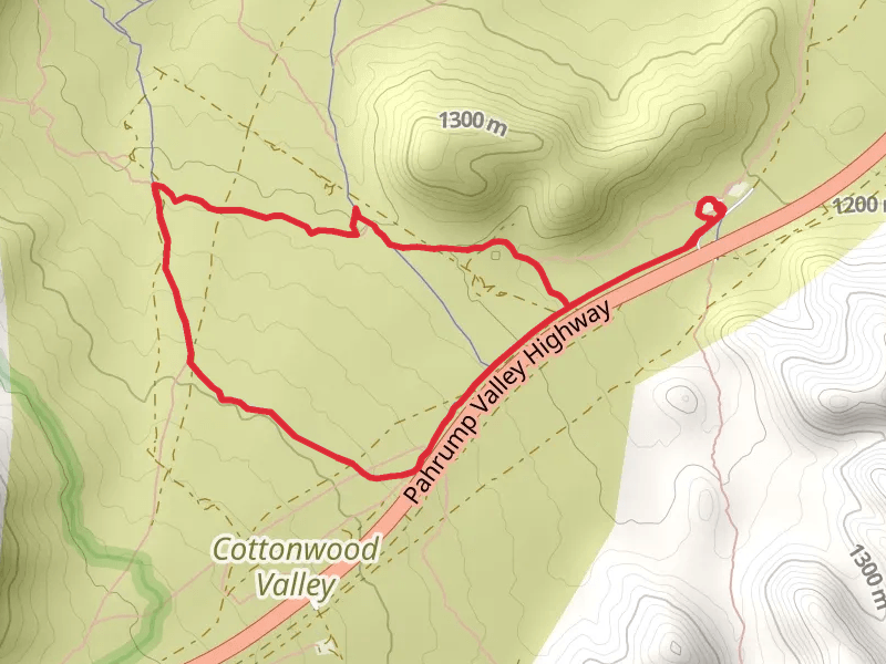 Cottonwood Valley and Latenight Cut Loop Trail