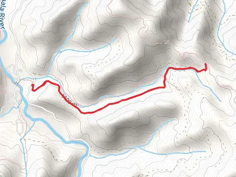 Glassmine Gap via Long Branch Trail