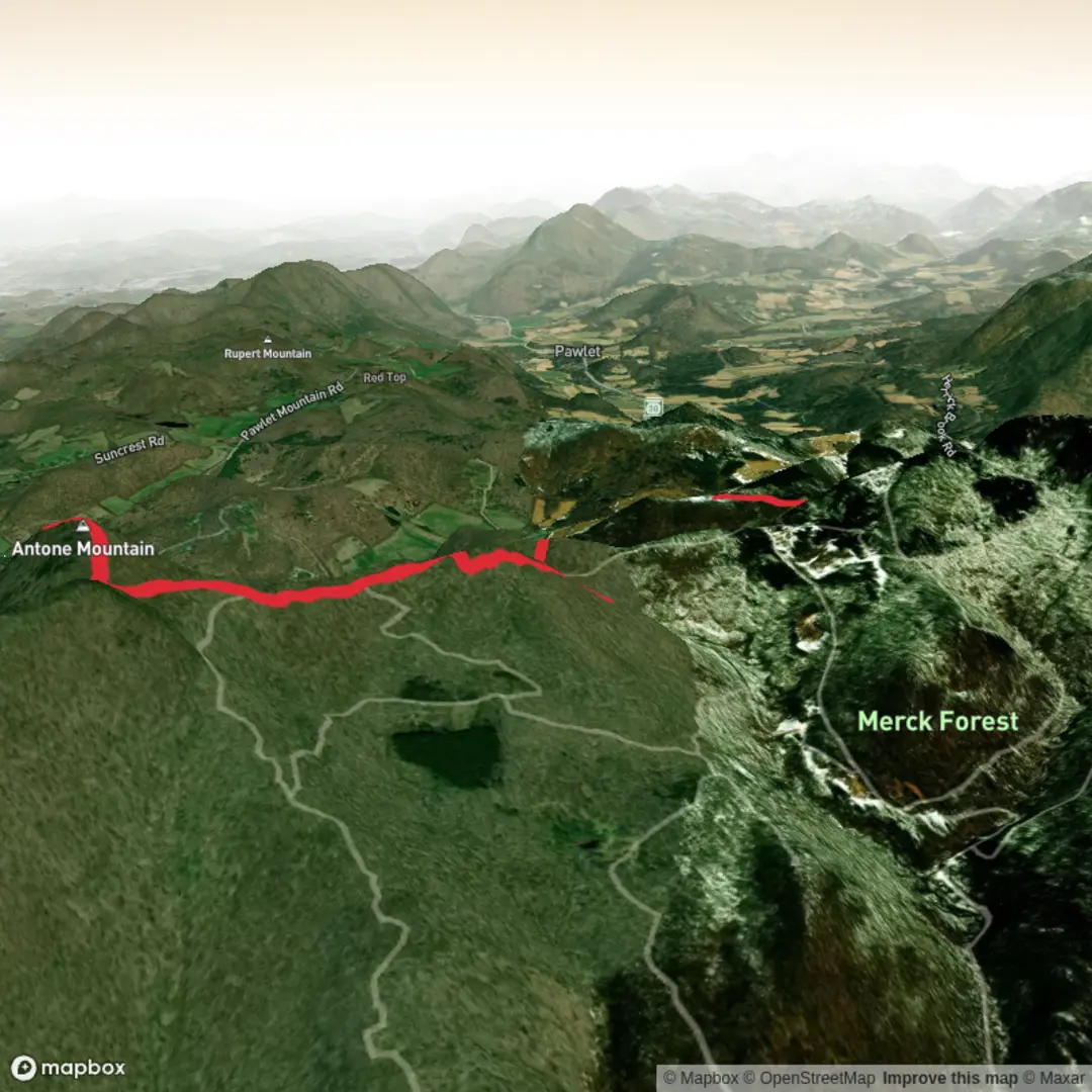 An image depicting the trail Antone Mountain via McCormick Trail and its surrounding area.