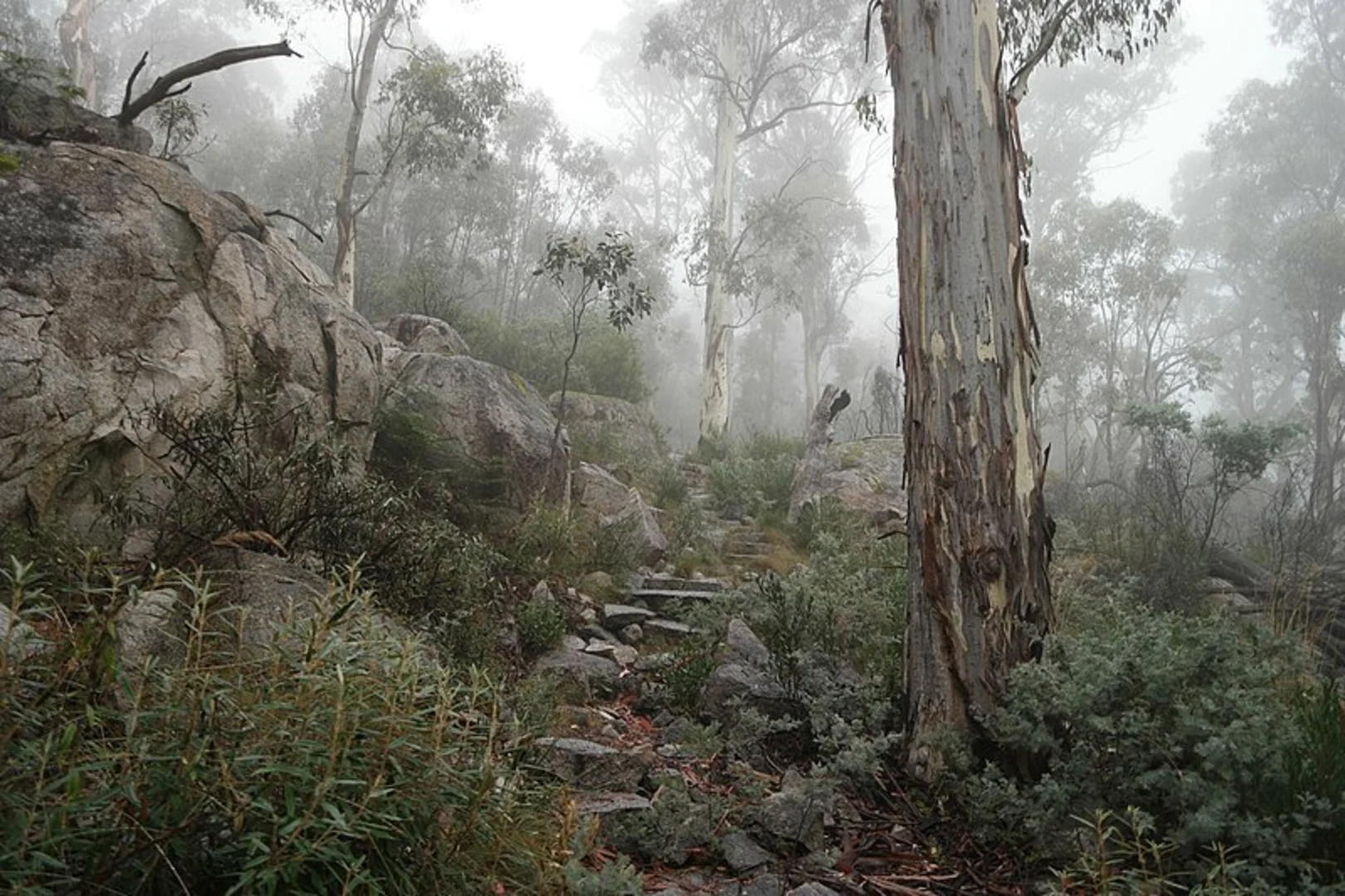 An image depicting the trail Square Rock Trail and its surrounding area.
