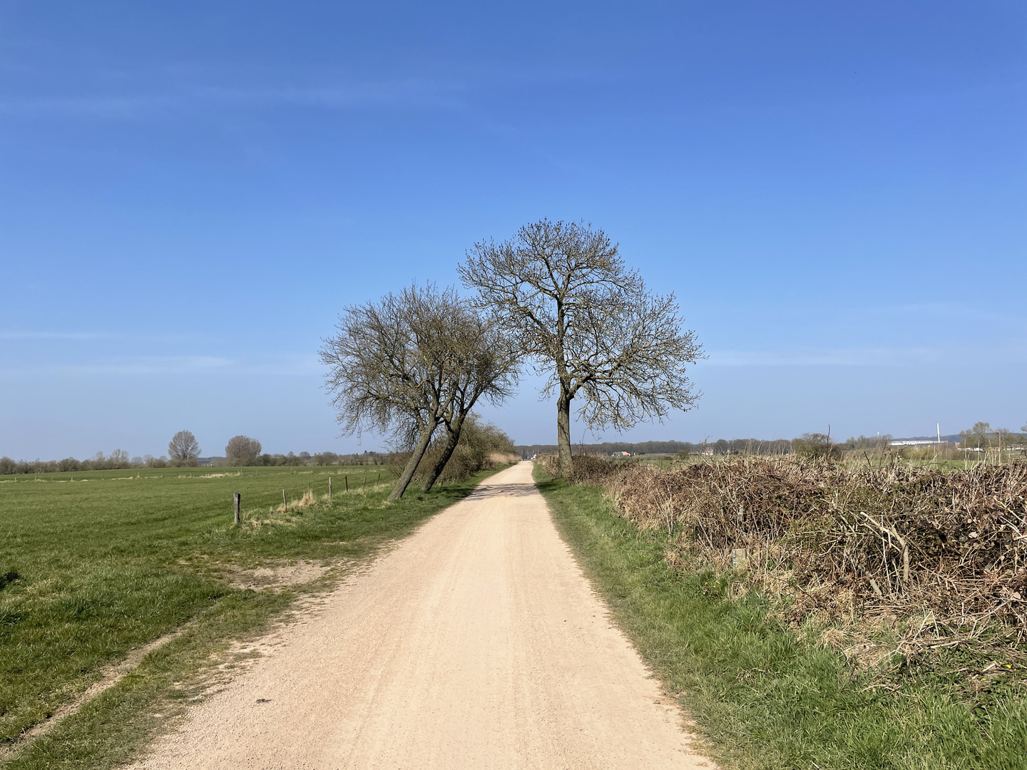 An image depicting the trail Dommelplantsoen, De Vleut and Oud - Gestel Loop and its surrounding area.