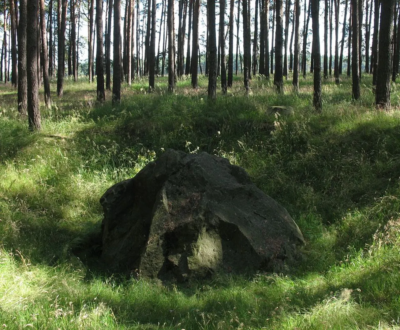 An image depicting the trail Oberer Berggrabenweg and Roter Strich Loop and its surrounding area.