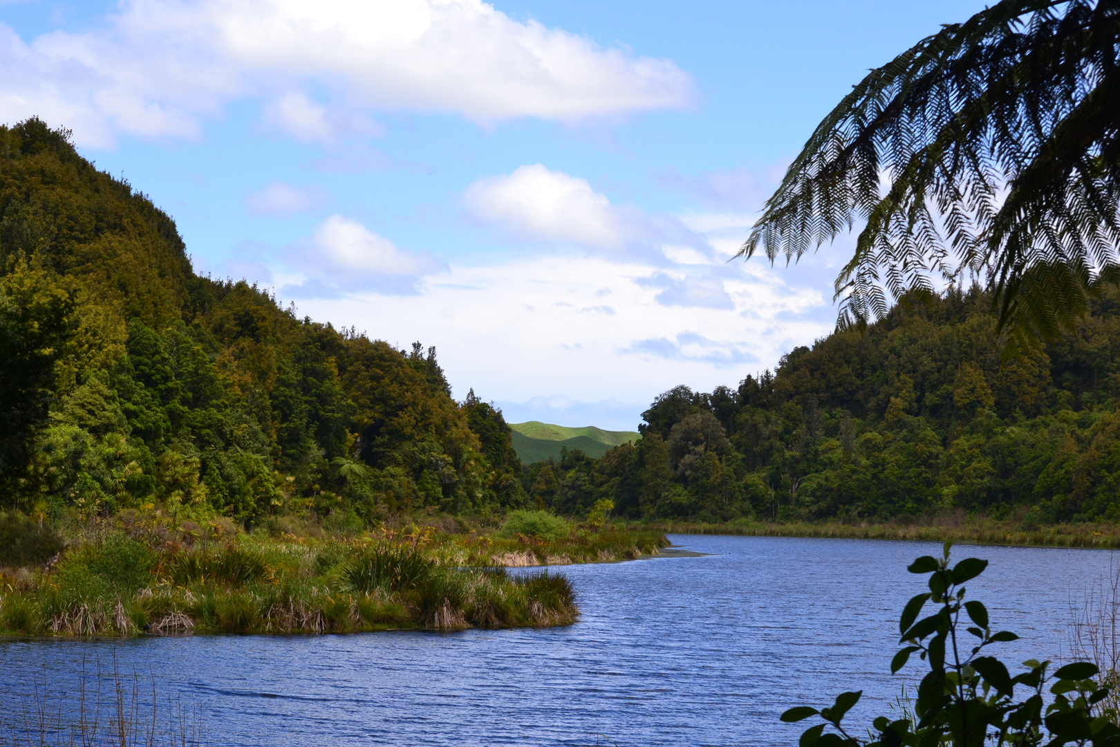 An image depicting the trail Barrett Lagoon Loop Track and its surrounding area.