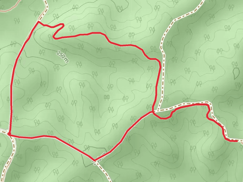 Ozark Trail - Current River Section Loop