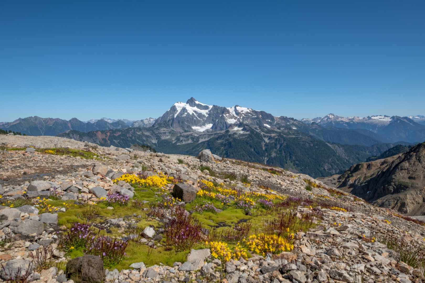 An image depicting the trail Ptarmigan Trail and its surrounding area.