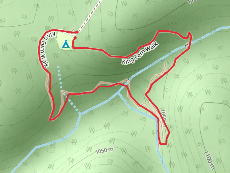 King Fern Track