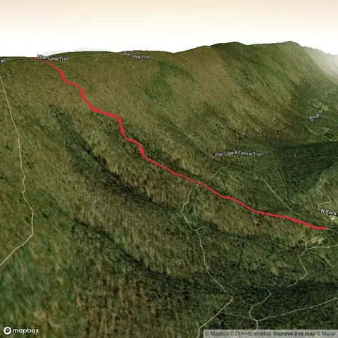 Ziler Trail