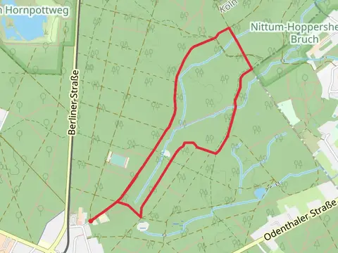Dunnwald Loop