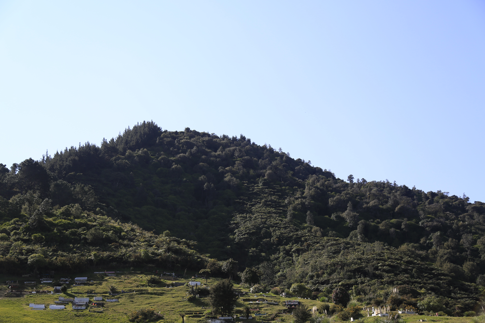 An image depicting the trail Tuhua - Mayor Island Crater Loop Track and its surrounding area.