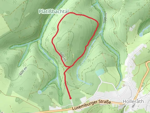 Bullinger Hardt Loop