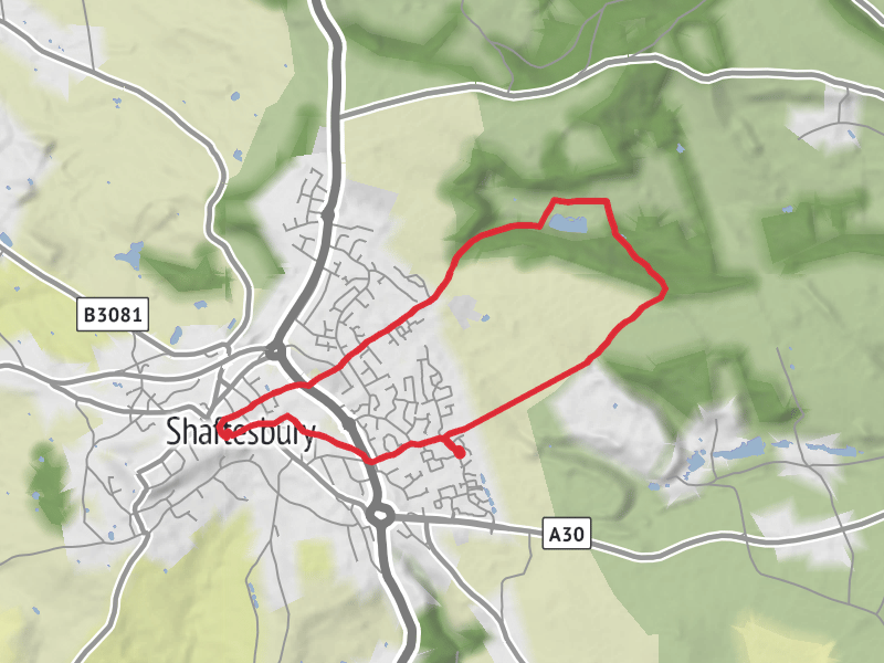 Short Shaftesbury Loop thumbnail