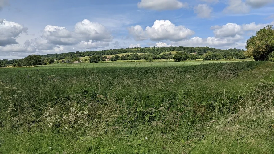 Pudford Hill and Kingswood Loop