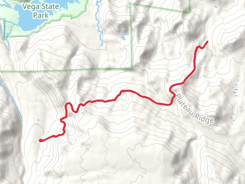Silver Spruce Trail