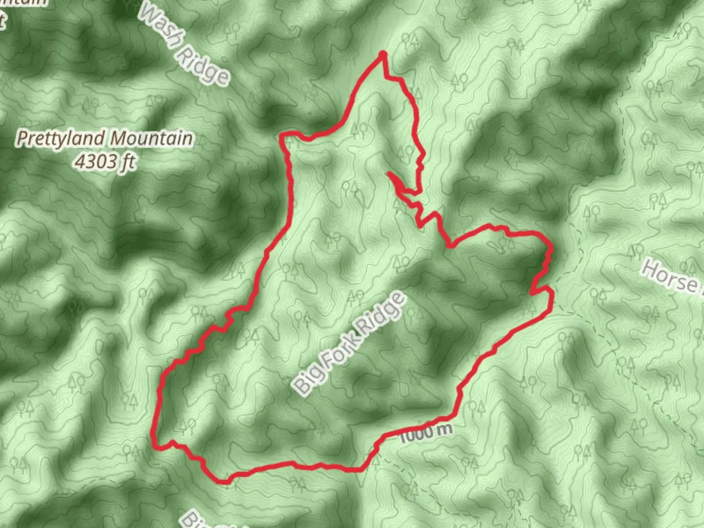 An image depicting the trail Big Fork Ridge Trail and Rough Fork Trail Loop and its surrounding area.
