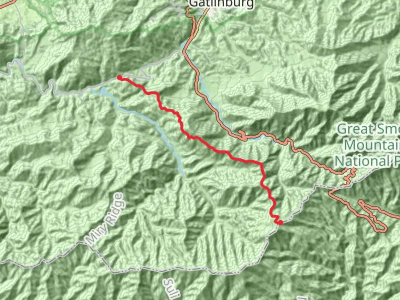 Sugarland Mountain via Sugartree Mountain Trail