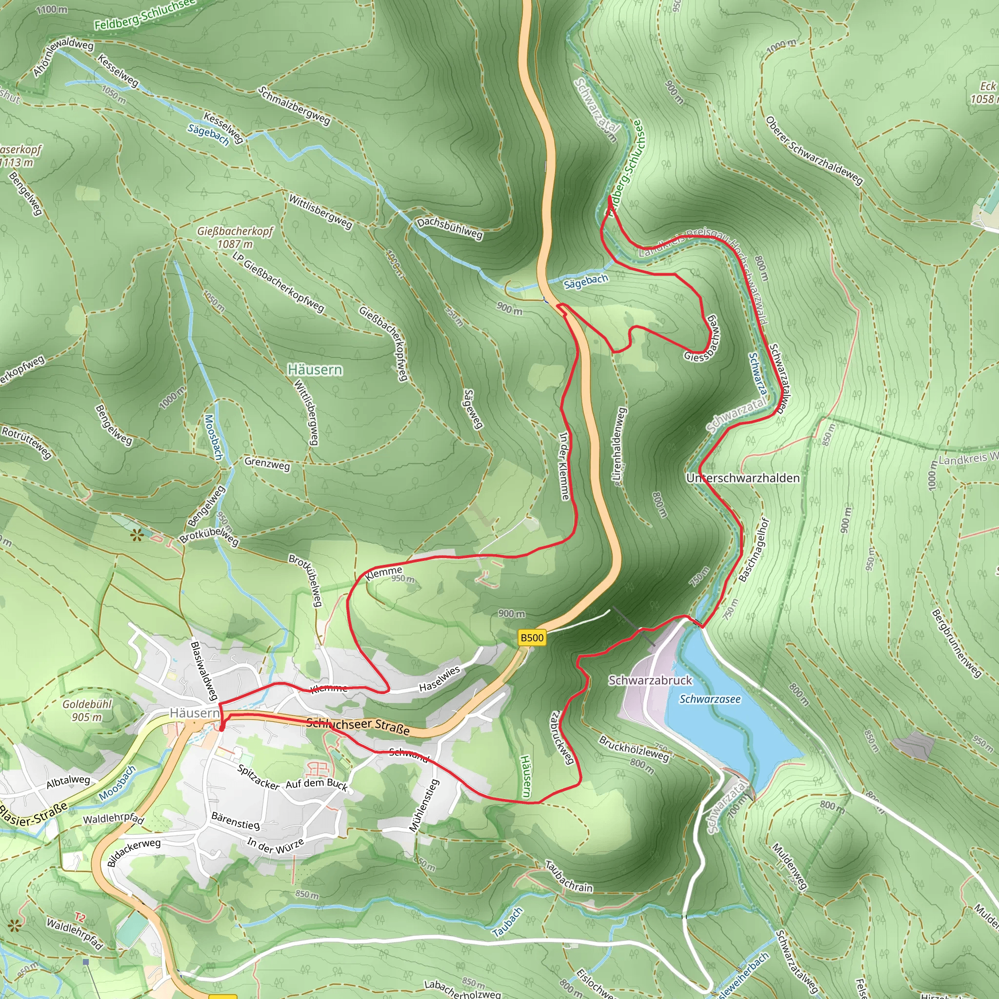Schwarzasee and Schwarza Loop via BaschnagelwegLoop mobile static map