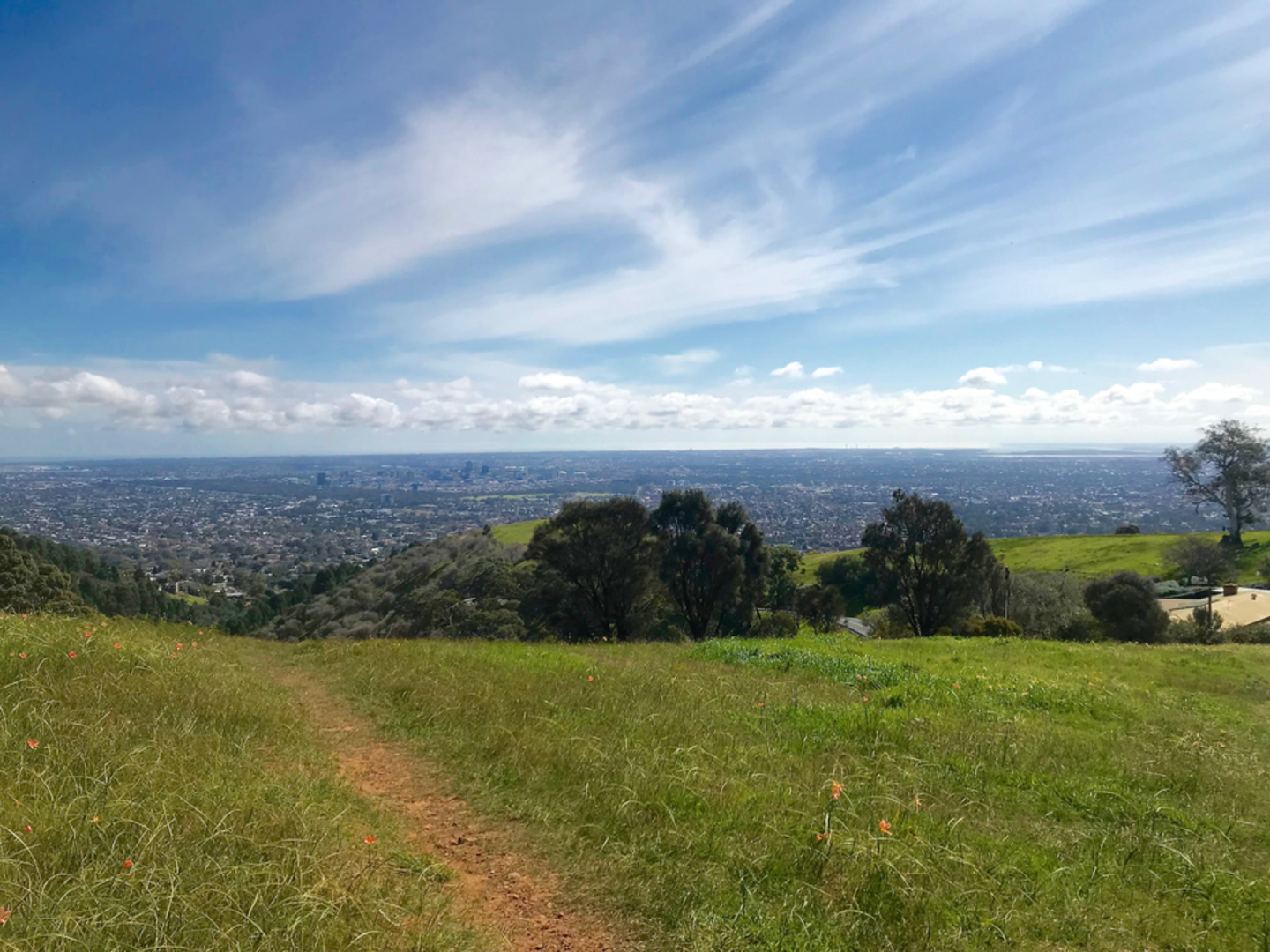 An image depicting the trail Themeda Circuit Walk and its surrounding area.