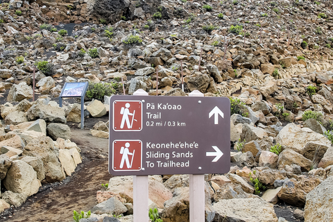 Keonehe'ehe'e Trail to Halemauu Trail