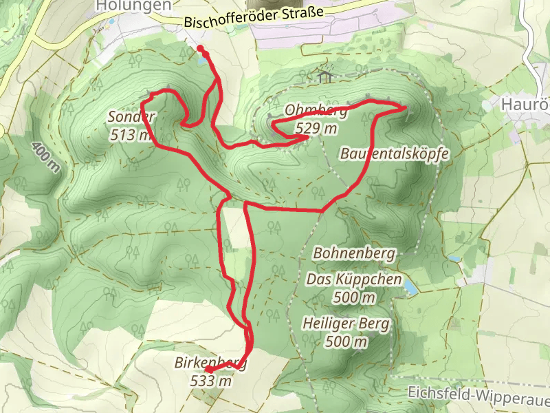 Birkenberg via Harz-Hainlaite Wanderweg