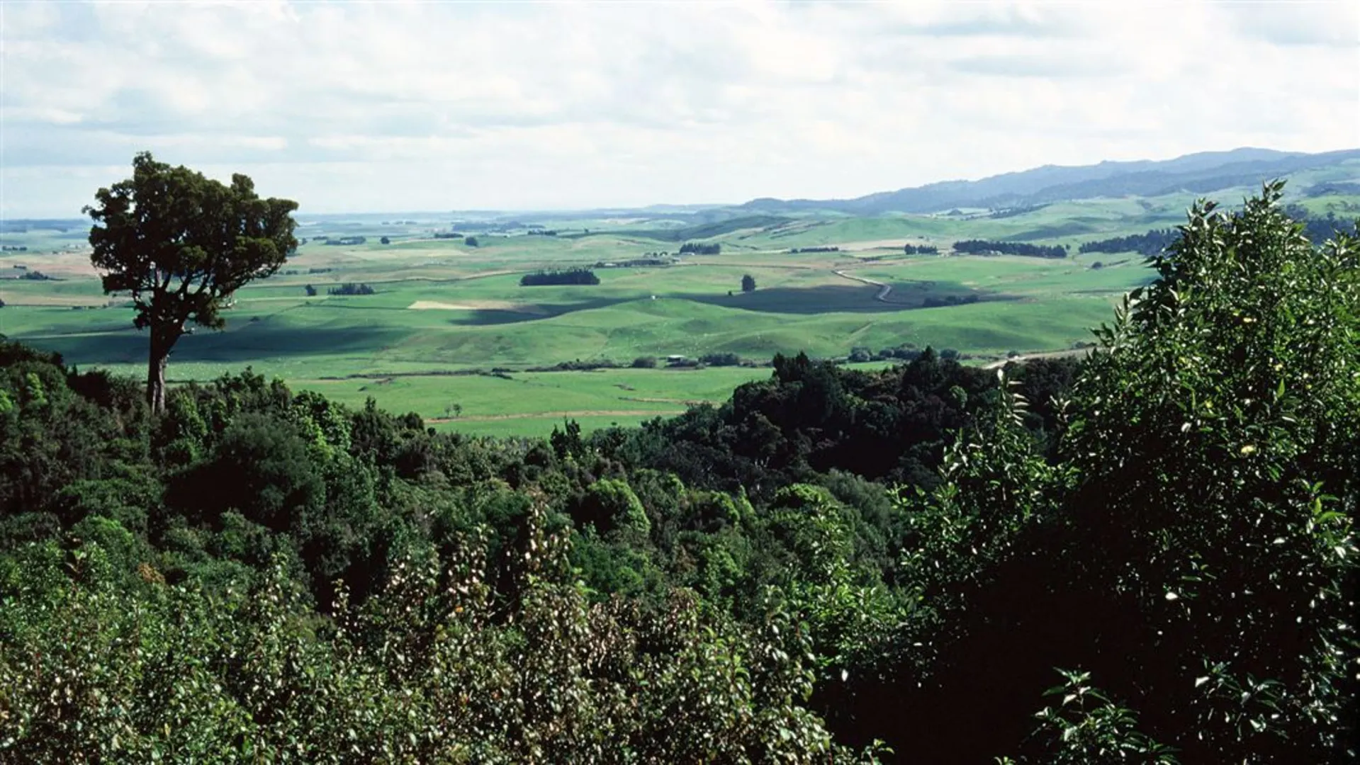 An image depicting the trail Grant's Track and its surrounding area.