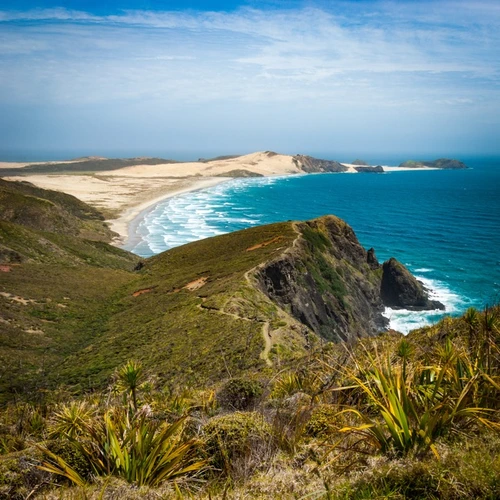 Te Paki Coastal Track