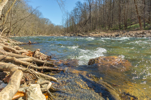 Pataspsco River via Plantation Trail and Spring Glen Trail