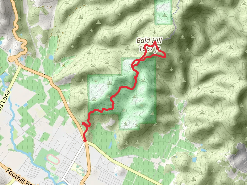 Bald Hill via Oat Hill Mine Trail