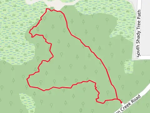Lastinger Tower Loop Trail