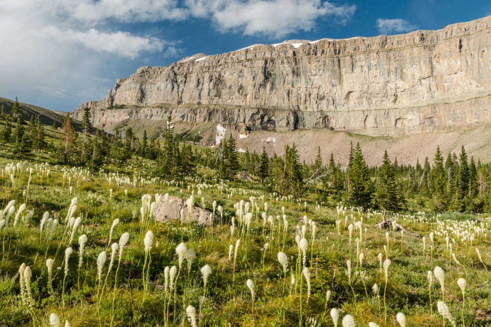 An image depicting the trail Landers Fork Trail and its surrounding area.