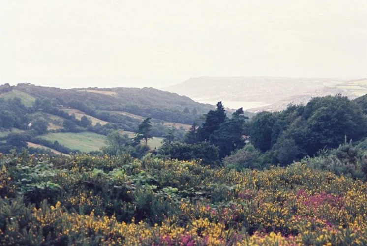 Symondsbury and Morcombelake Loop via Golden Cap
