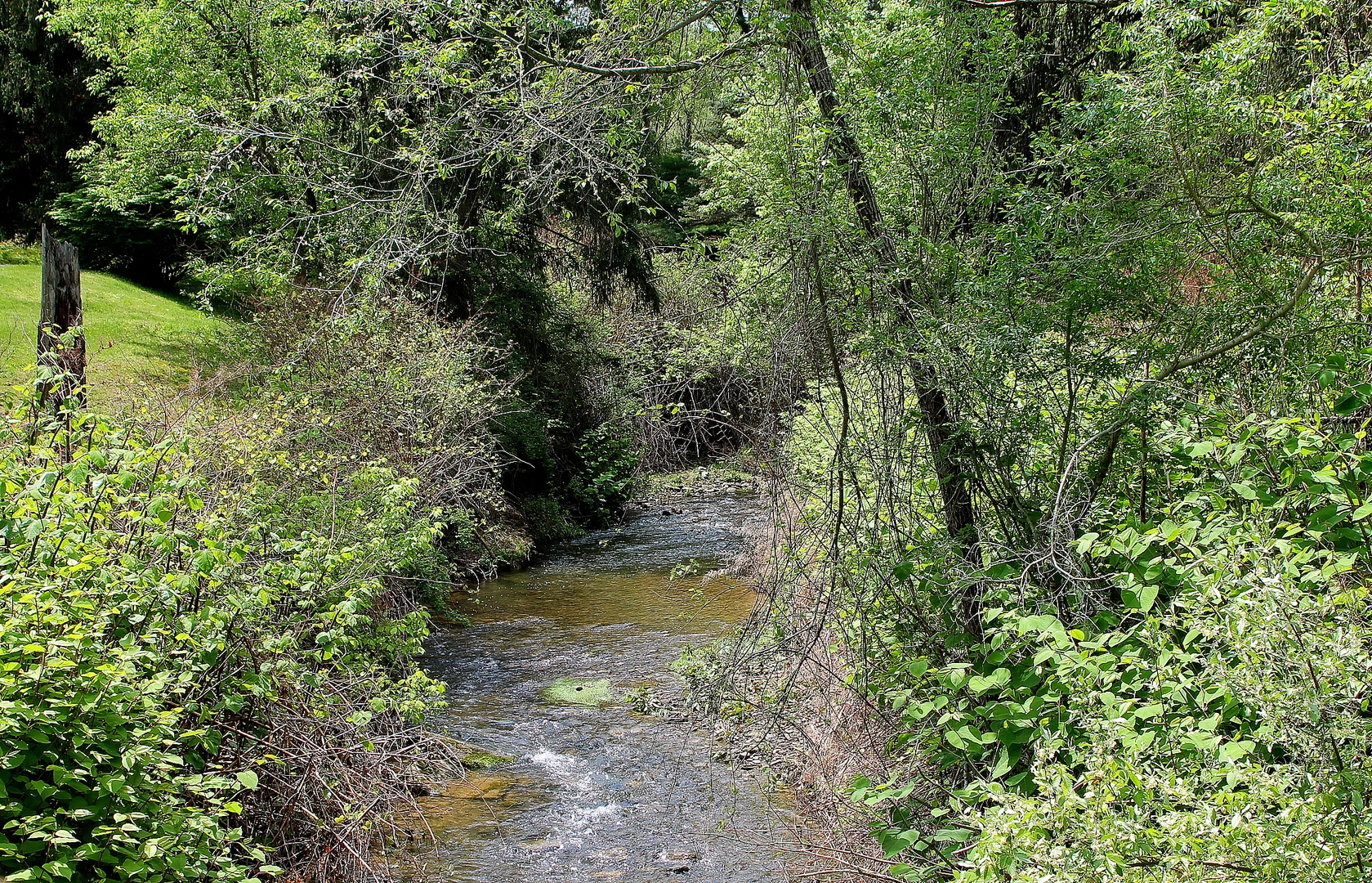 An image depicting the trail Montour Run and its surrounding area.