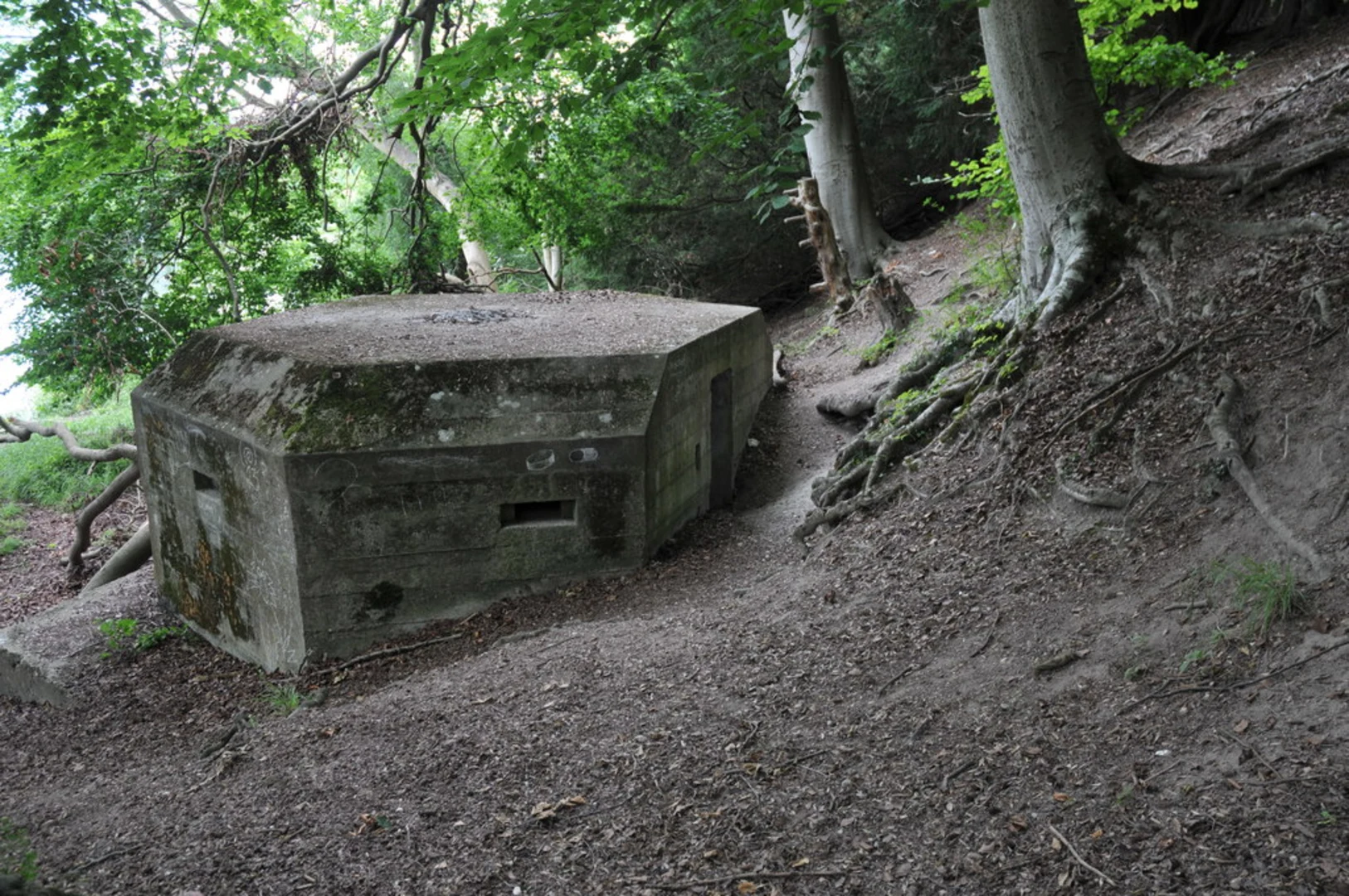 An image depicting the trail Pangbourne to Woodcote Loop via Great Chalk Wood and its surrounding area.