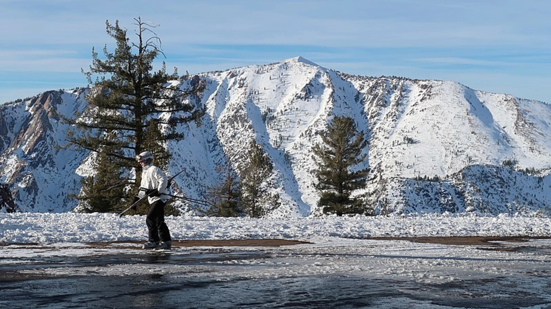 An image depicting the trail Tanglefoot Trail and its surrounding area.