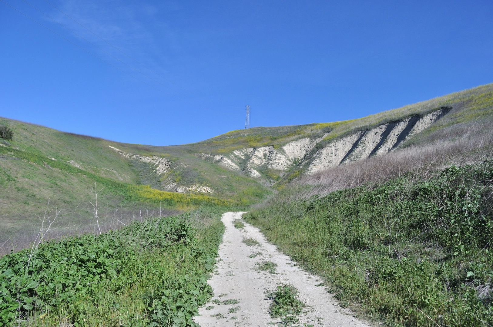 An image depicting the trail Cheeseboro Ridge Edison Road Loop and its surrounding area.