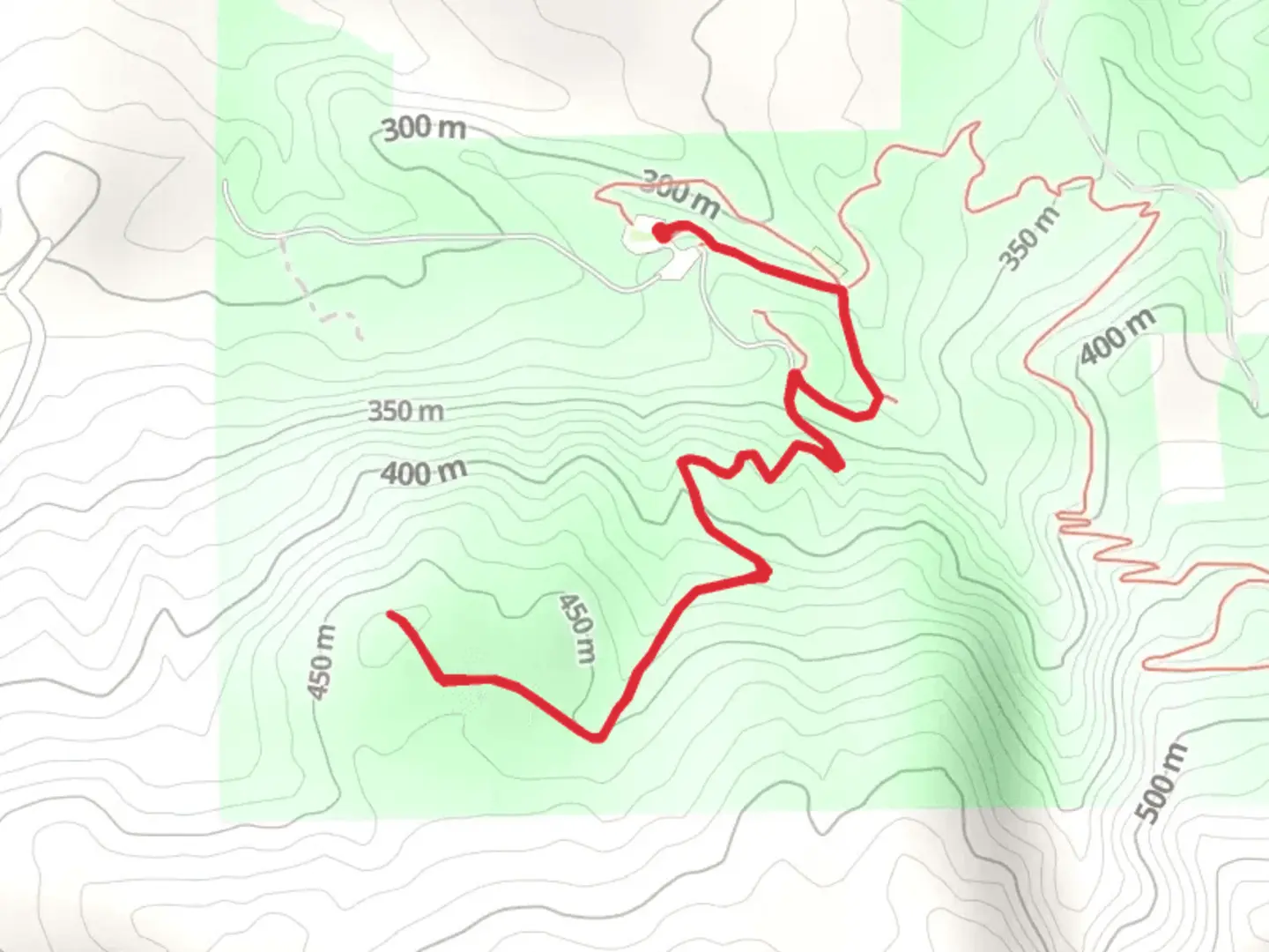 An image depicting the trail Umbrella Tree Trail and its surrounding area.