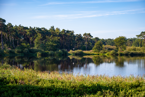 Groot Malpieven and Vennen via Brugseheide and Abdij Weg