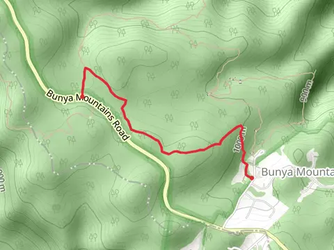 Dandabah to Paradise Track