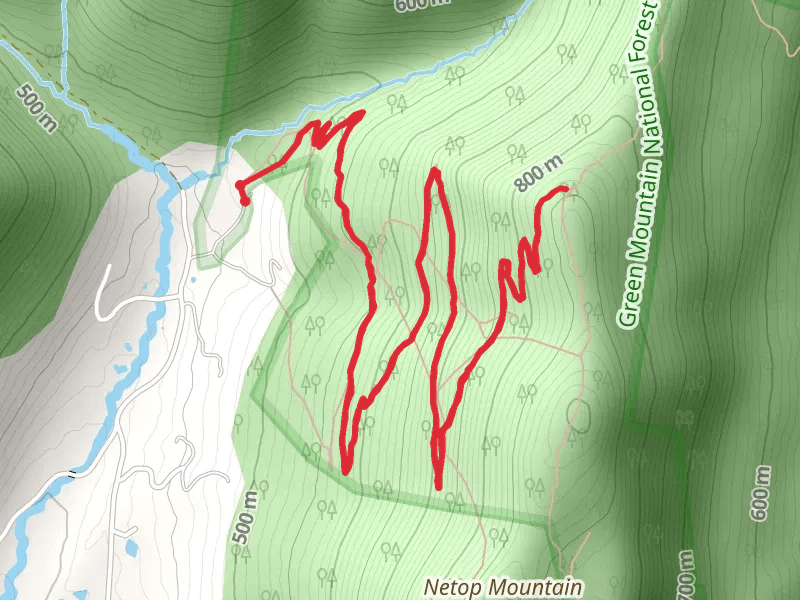 Dorset Hollow Trail