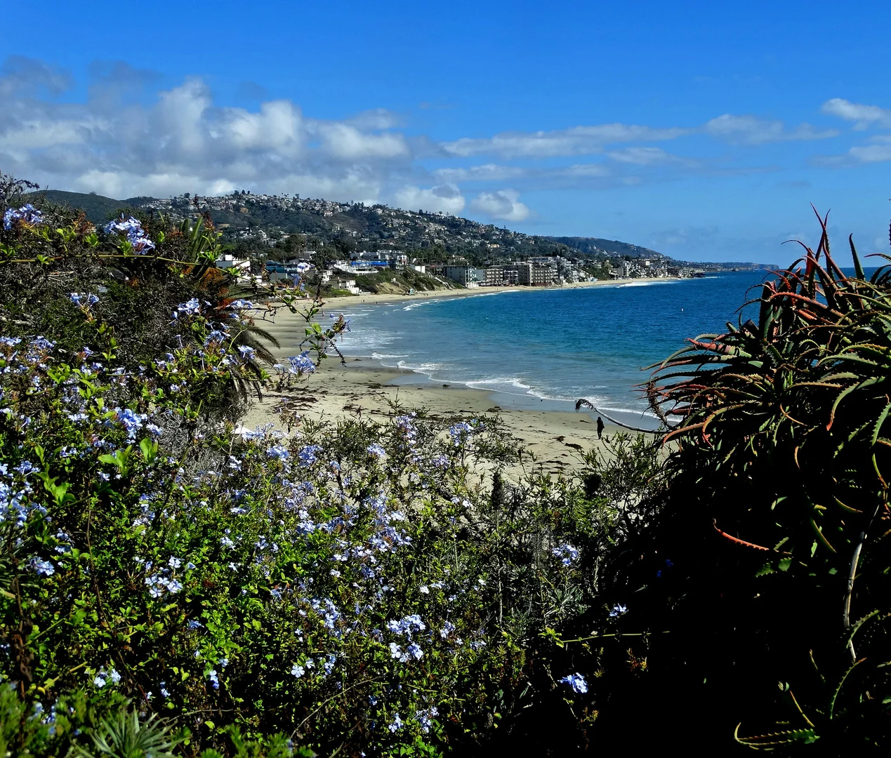 An image depicting the trail Laguna Beach Boardwalk Trail and its surrounding area.