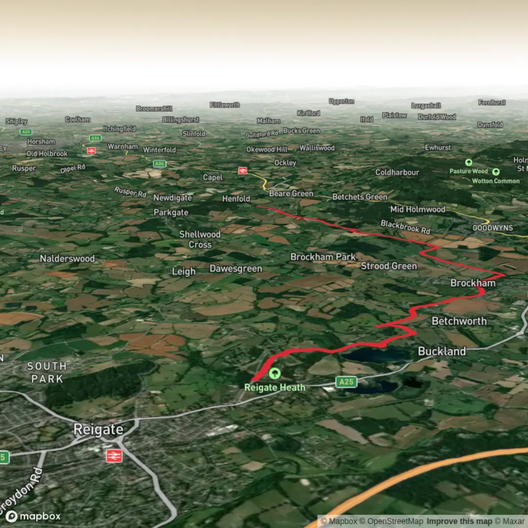 An image depicting the trail Reigate Heath to Henfold Lakes and its surrounding area.