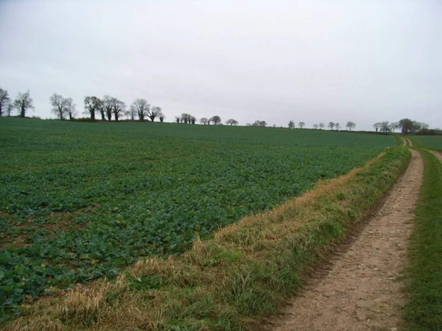 An image depicting the trail Guiting Power- Roel Circular and its surrounding area.