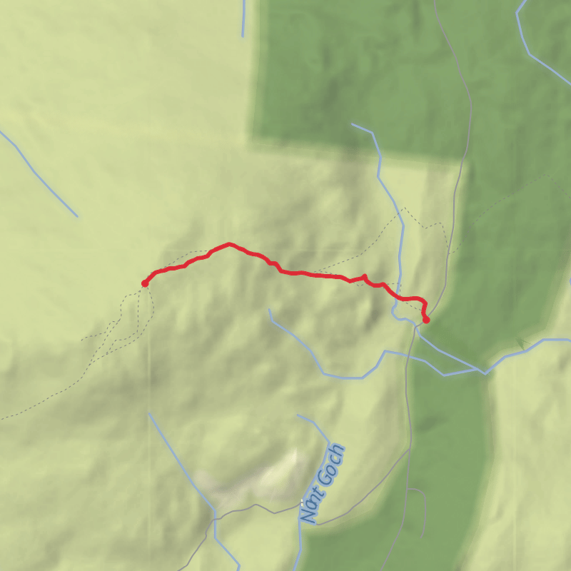 A map preview of the recording Hike on Rhobell Fawr.