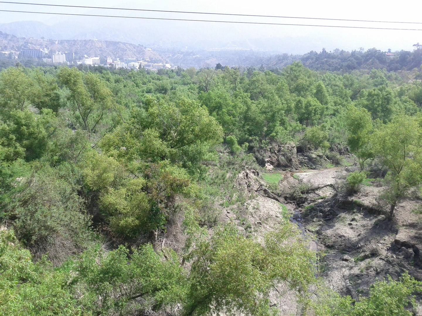 An image depicting the trail Flint Canyon and Gabrielino Loop Trail and its surrounding area.