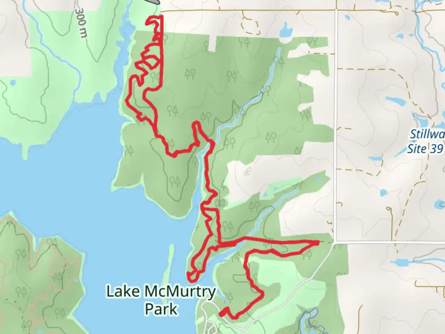 An image depicting the trail Yellow Loop Trail - Lake McMurtry and its surrounding area.