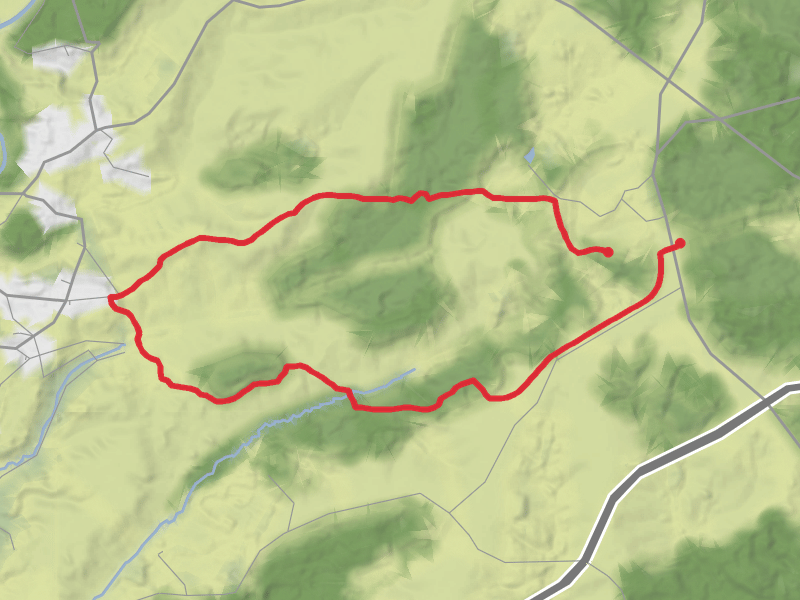 New Forest Hiking thumbnail