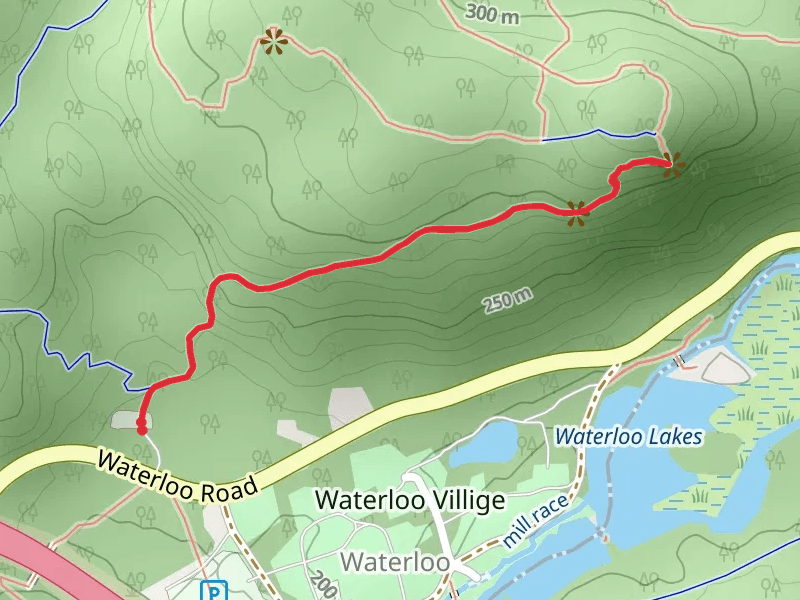 Highlands Trail from Waterloo Lakes