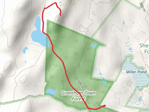 Lewitt Hill Road Trail